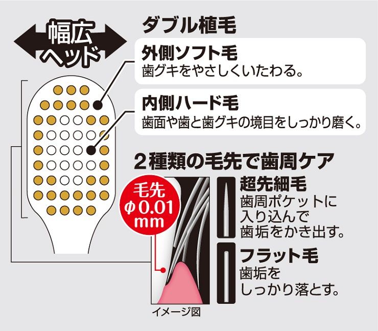 EBiSU Premium Care Toothbrush 6-Row Compact (No.50, Extra Soft) 1pc (Made in Japan)