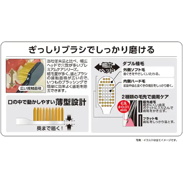 EBiSU Premium Care Toothbrush 6-Row Regular (No.60, Extra Soft) 1pc (Made in Japan)