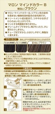 Marron Mind Color B 亮啡色（染髮劑／遮白髮用）