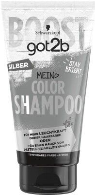 got2b 銀色護色洗髮水（適用於染髮及黑髮）