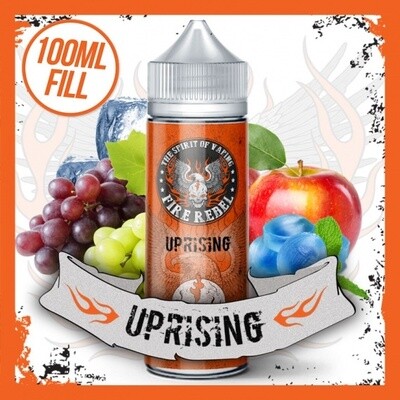 Fire Rebel Uprising 120ml Capacity Bottle Filled With 100ml Liquid