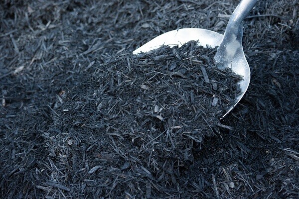 Black Velvet Mulch