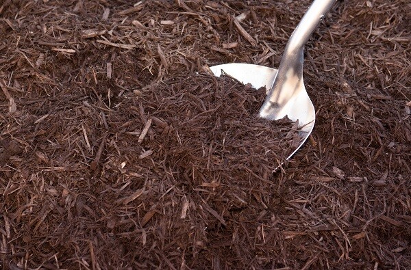 Forest Brown Mulch