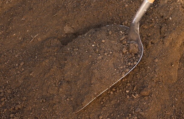 Screened Topsoil