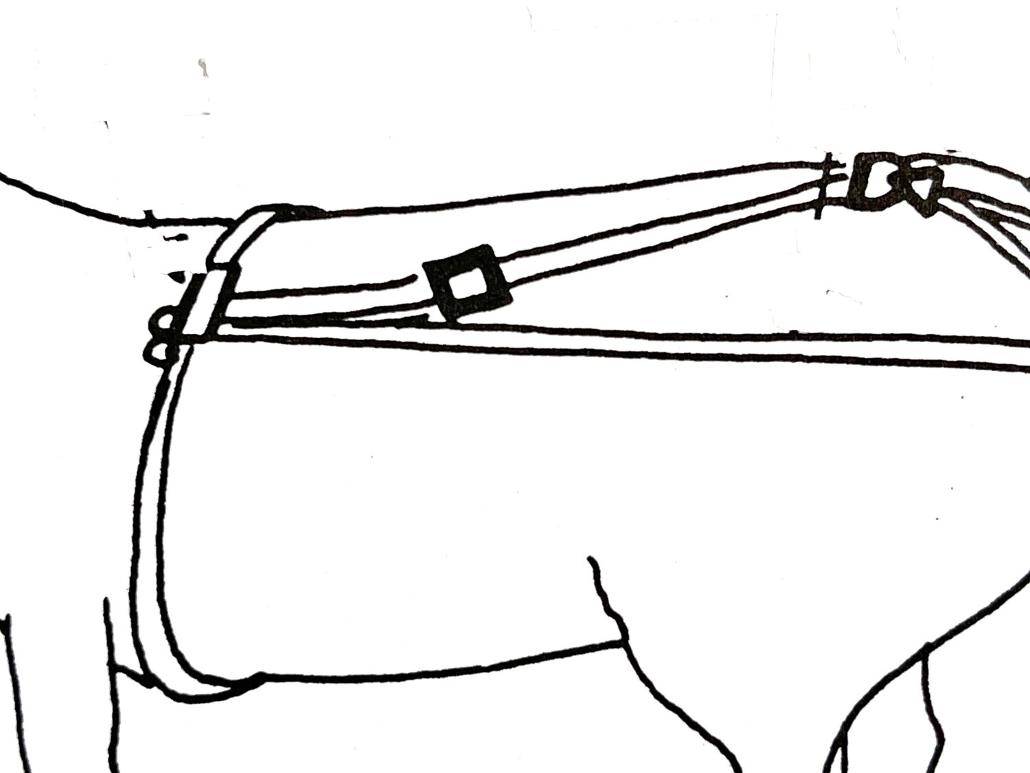 &quot;Service&quot; Mini Bareback Surcingle Attachment