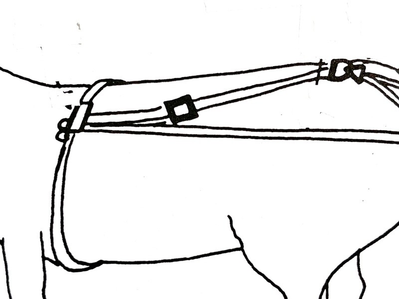 &quot;Service&quot; Mini Bareback Surcingle Attachment