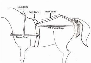 Saddle Horse Bareback Surcingle Attachment