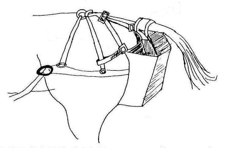 Saddle Horse Manure Catcher