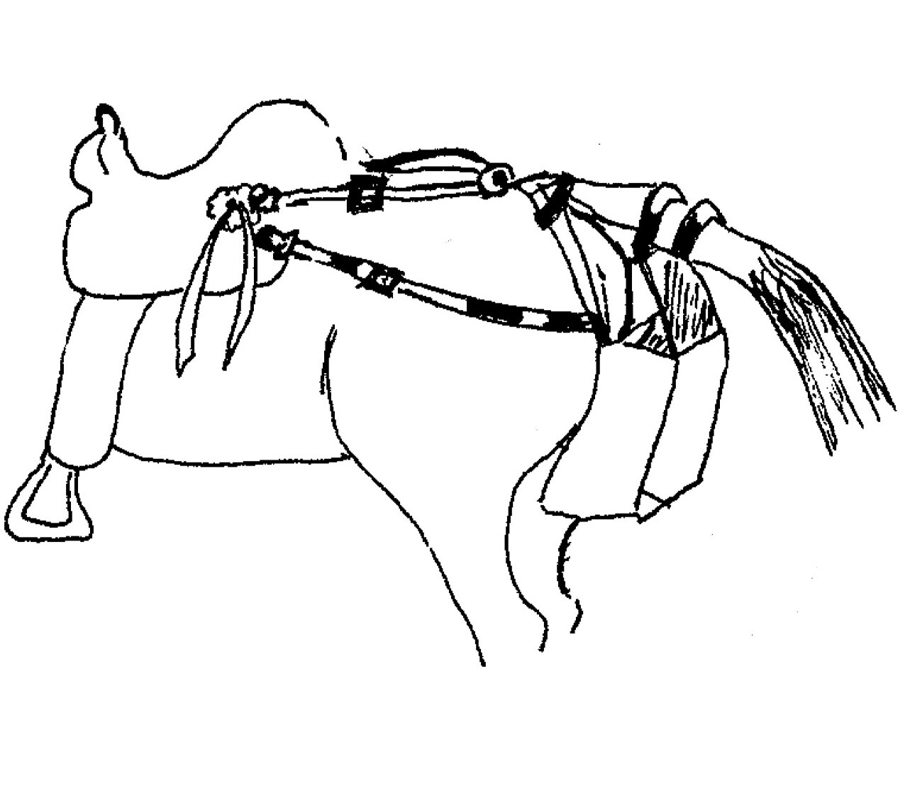 Riding Saddle Attachment