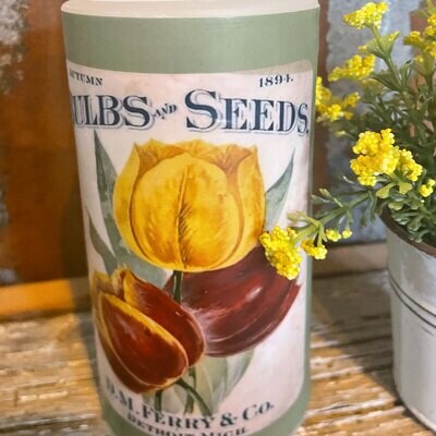 Tulips - 6 Inch