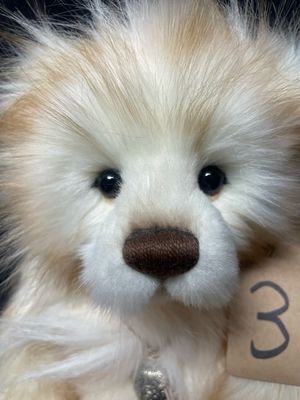 Anniversary Willamena CB