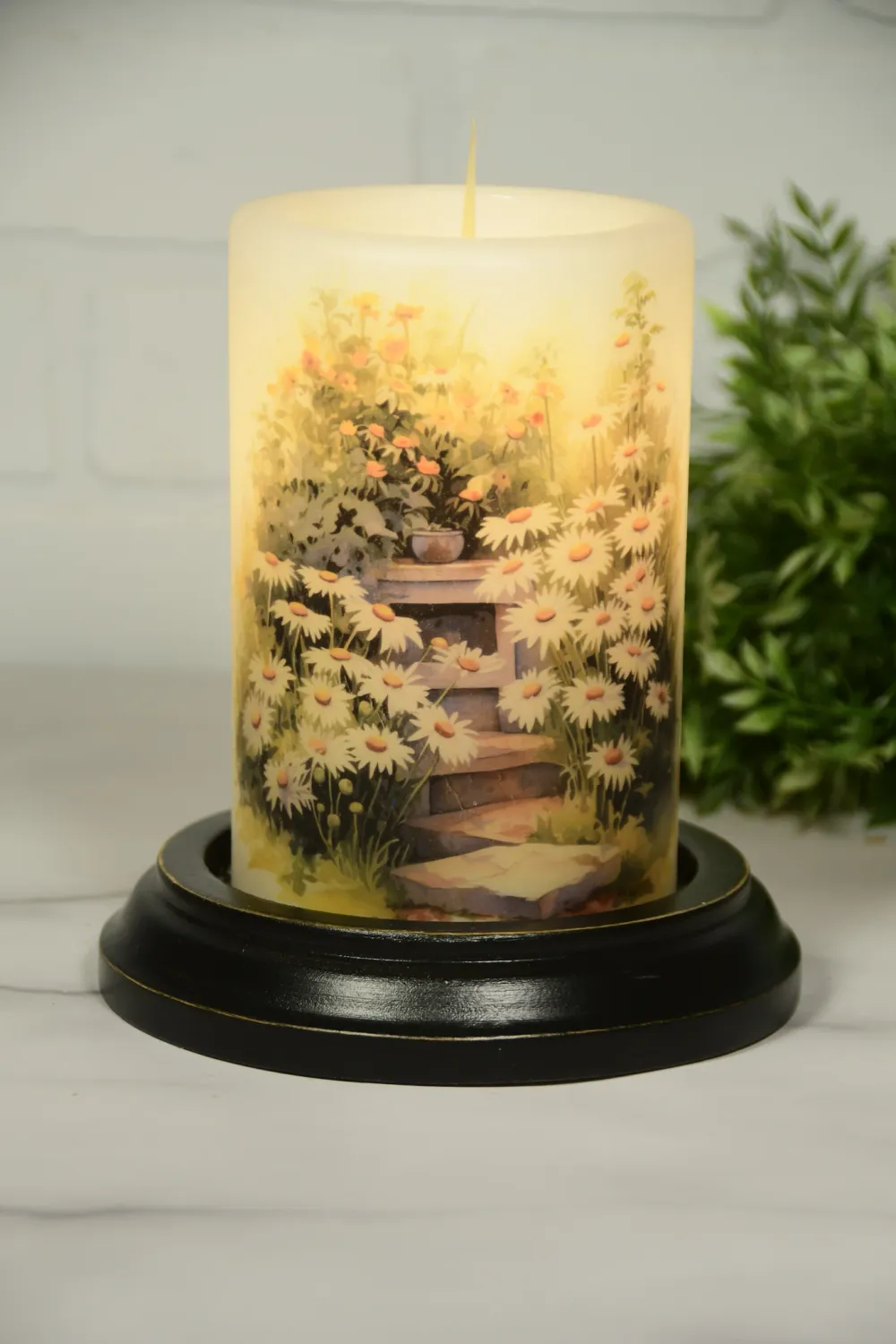 Summer White Daisy Garden CR