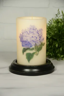 Purple Hydrangea CR