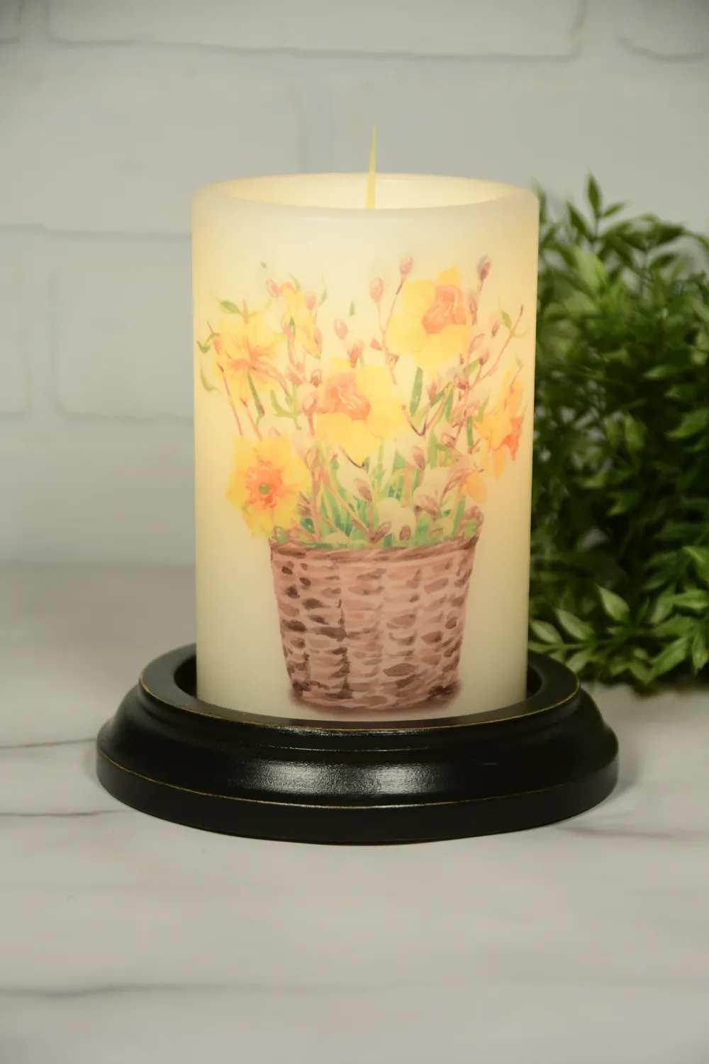 Spring Daffodil Blooms CR