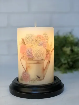 Summer Watering Can Hydrangea CR