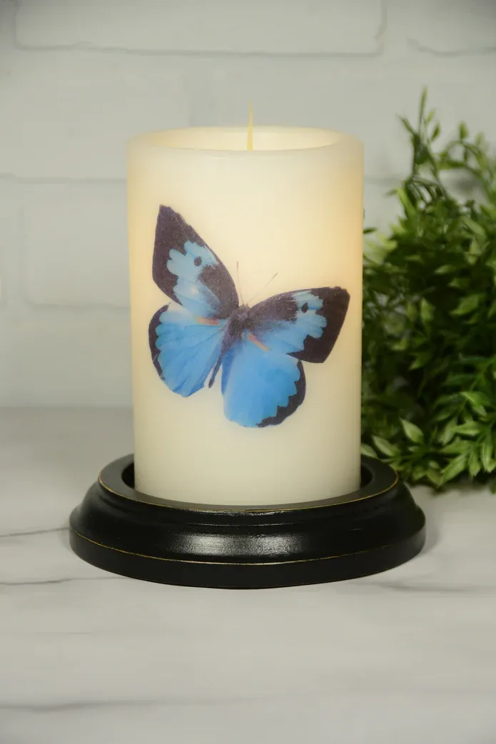 Blue Butterfly CR