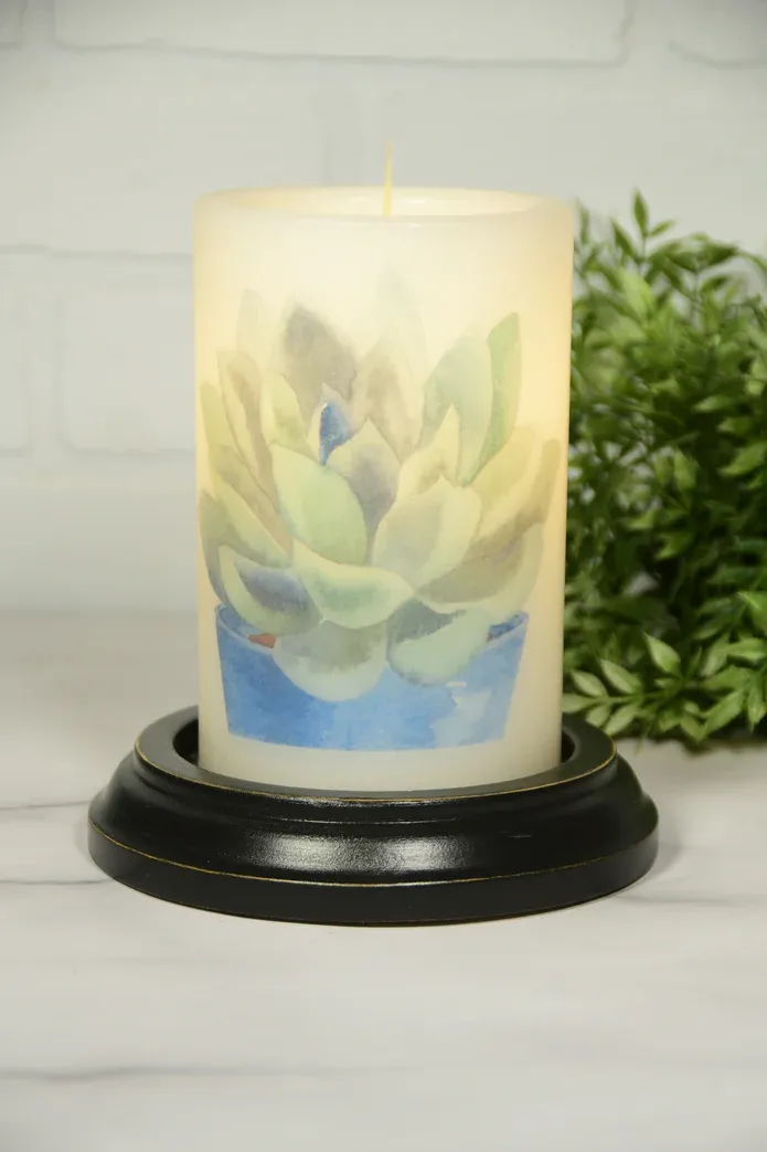 Blue Pot Succulent CR