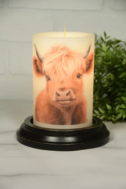 Beau Highlander Cow CR