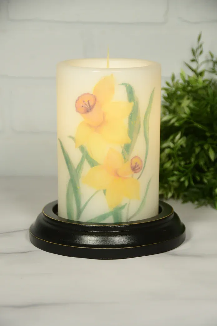 Daffodils CR