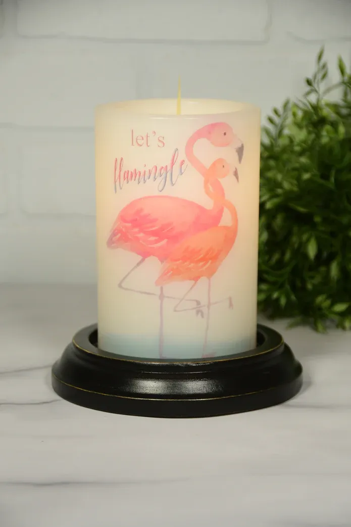 Let's Flamingo Pair CR
