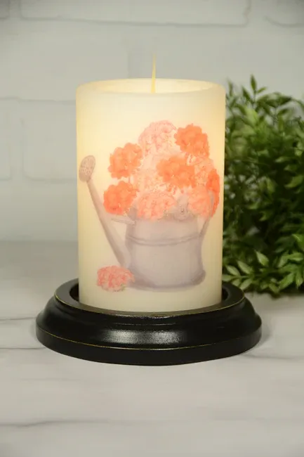 Summer Sprinkling Can Geraniums CR