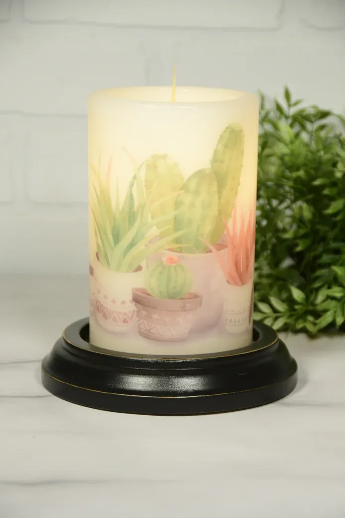 Desert Cactus Group CR