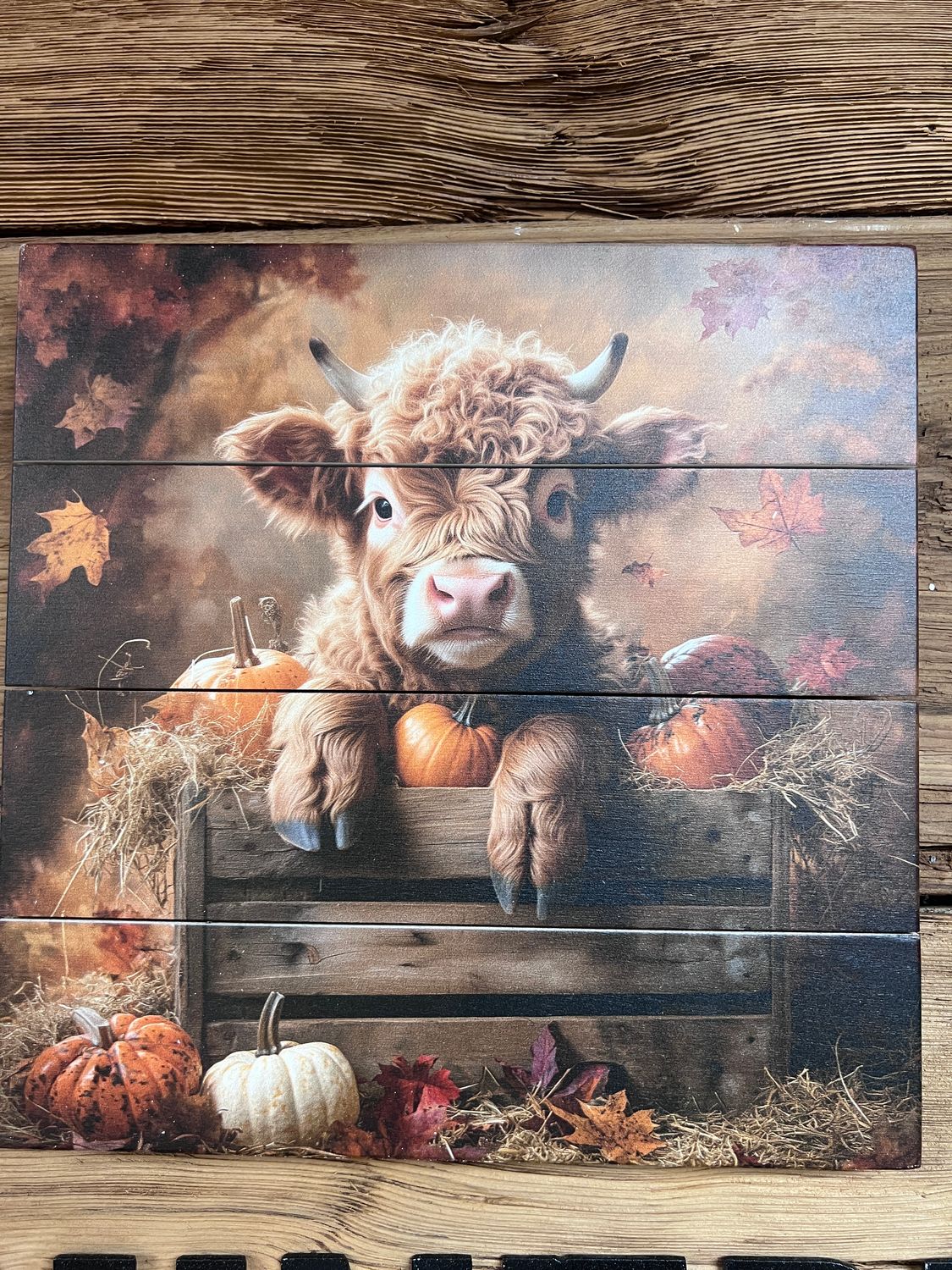 Rustic Pallet Art Highlander Cow