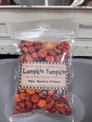 SRL Potpourri Lumpkin Pumpkin 2 Cup Bag