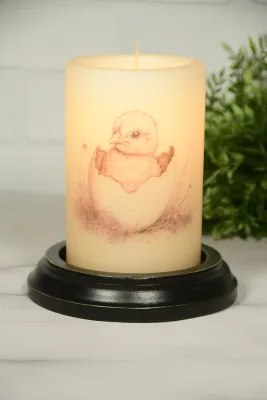 Spring Neutral Sketched Chick Van CR