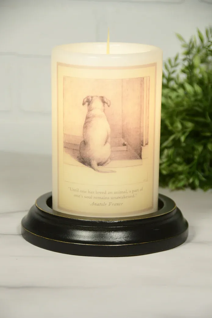 Everyday Love of Dog AV CR