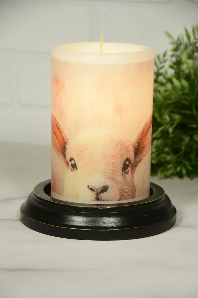 Spring Shy Lamb Van. CR