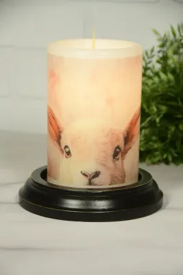 Spring Shy Lamb Van. CR