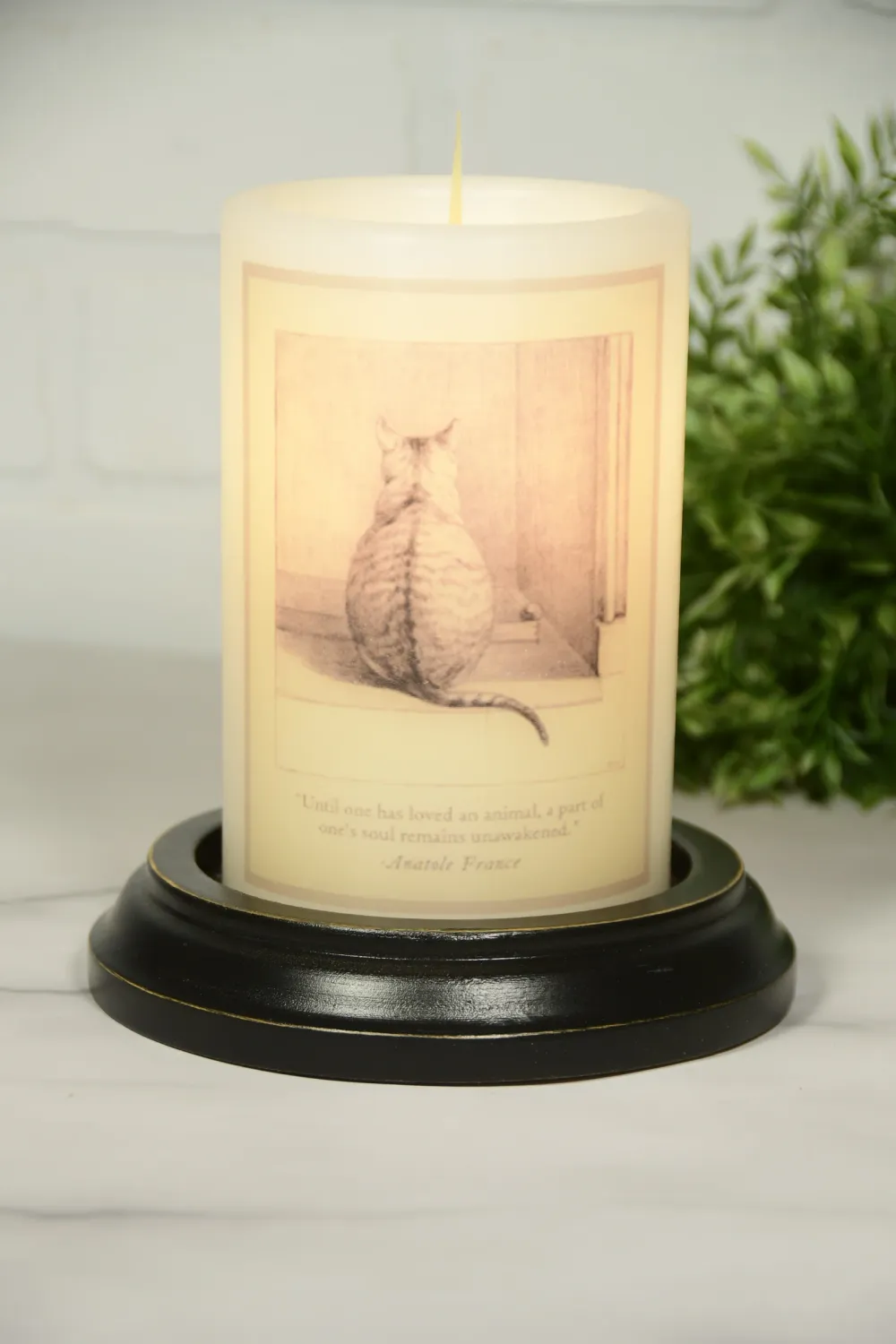 Everyday Love of Cat AV CR