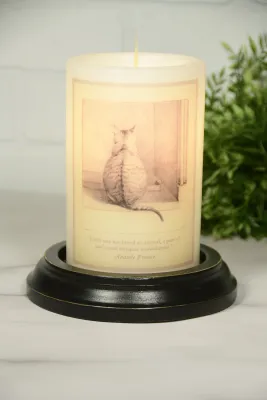 Everyday Love of Cat AV CR