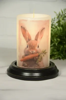 Spring Bunny Mopsy Carrot Van