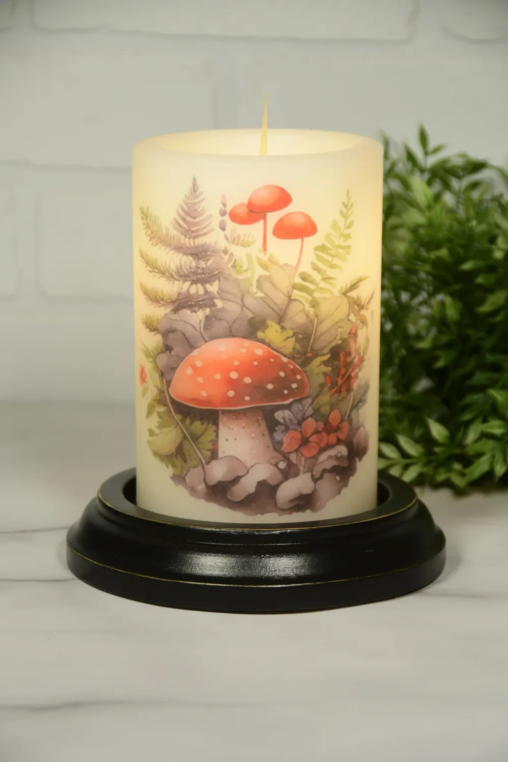 Spring Mushroom Van CR