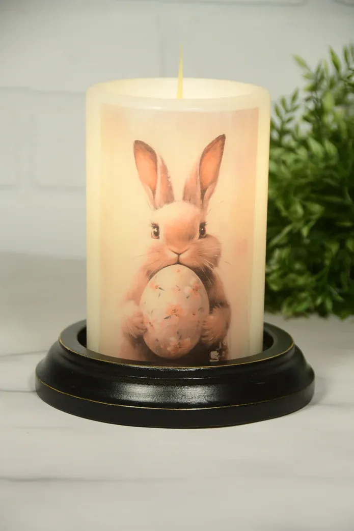 Spring Bunny Egg Van CR