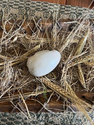 PCT White Egg