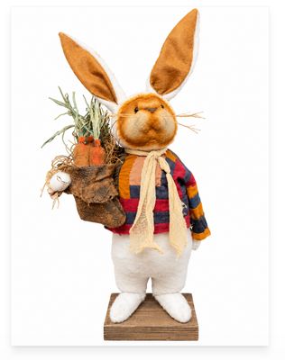 White Bunny RC