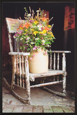 BF Picture Shabby Chic 21x28