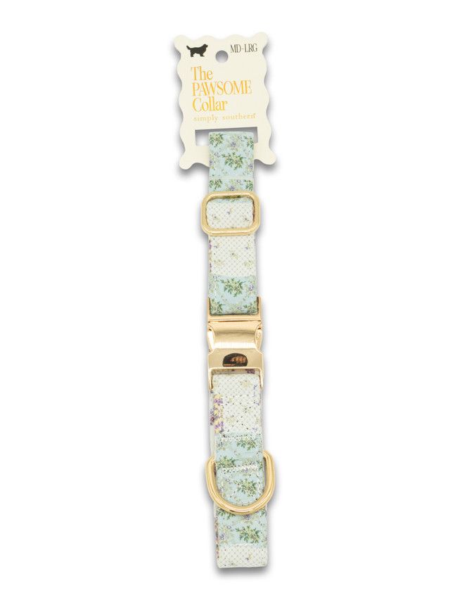 SS Pet Collar Trlptch