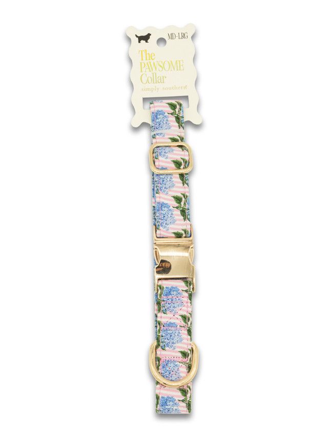 SS Pet Collar Hydstr