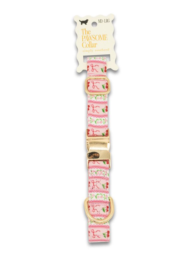 SS Pet Collar Chrystr
