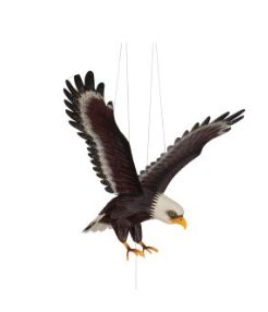 RGL Eagle Flying