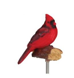RGL Solar/Sound Cardinal