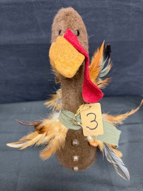 RJ Turkey Baby Birds