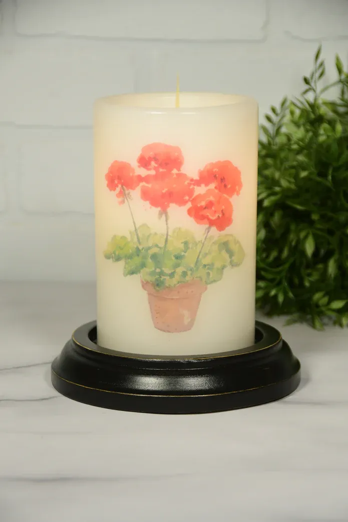 Summer Red Geranium V CR