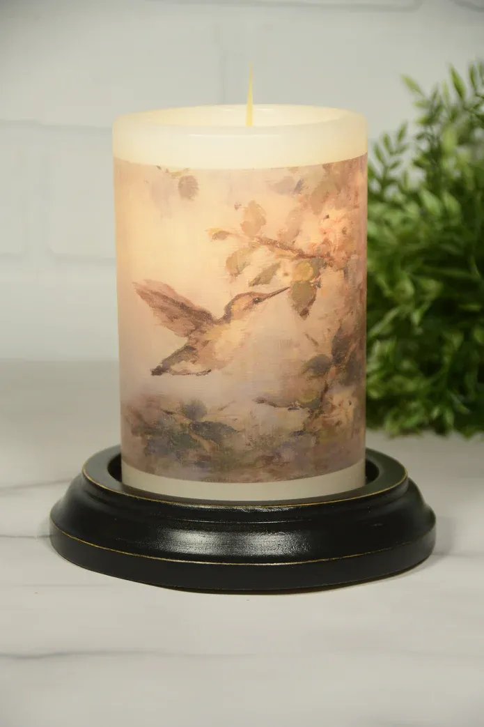 Summer Hummingbird Garden V CR