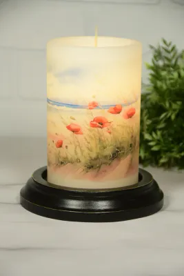 Summer Poppies at Beach V CR