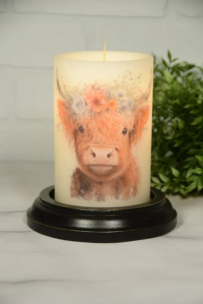 Summer Poppy Highland Cow V CR